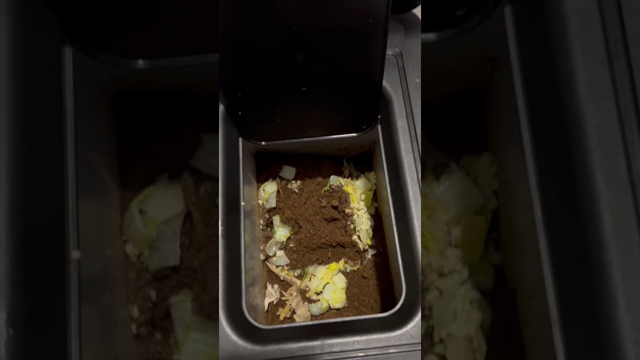 world&rsquo;s easiest way to deal with food waste #foodwaste #geme #sustainability #gardeningtips