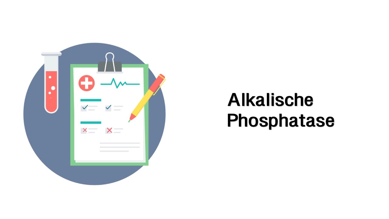 Alkalische Phosphatase - Laborwerte / Blutbild