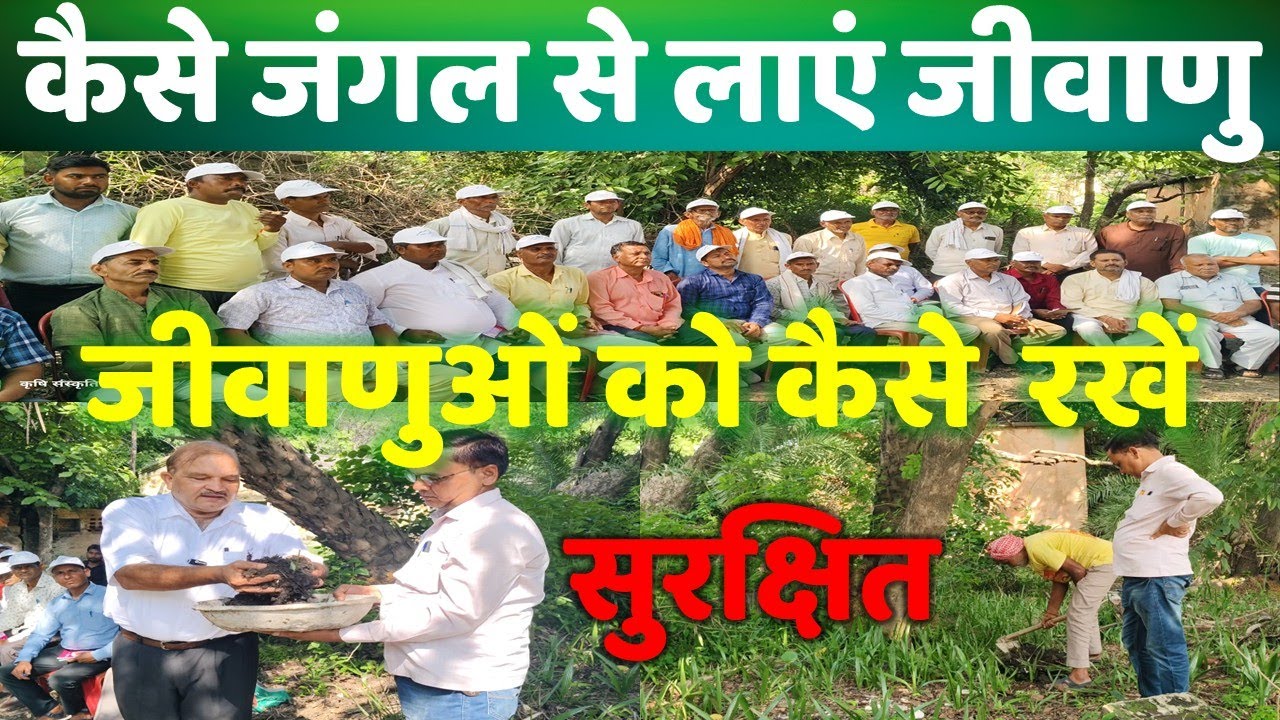 जंगल के जीवाणु भूमि की उर्वरता को जीवंत कर देंगे