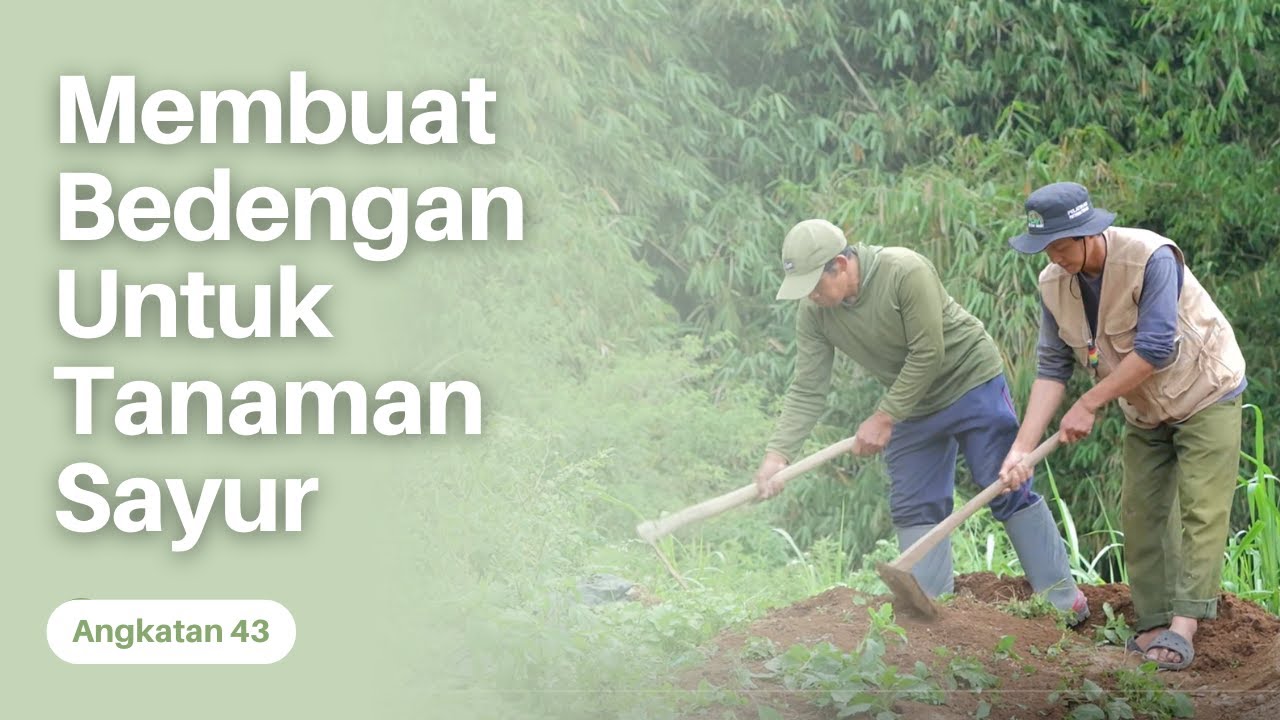 Membuat Bedengan Untuk Tanaman Sayur
