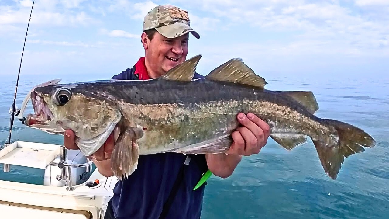 Работа на шельфе сквозь густой туман… Это принесло свои плоды.