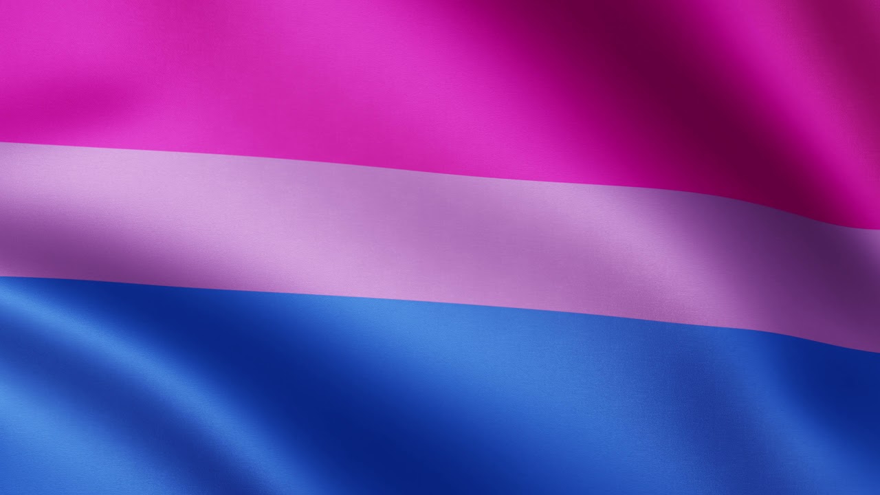Bisexual Pride Flag Animation | LHBTIQ | Flags of the World