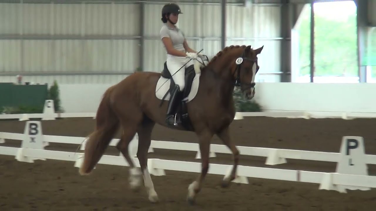 Die Schnelle and Marlena third level test three 72.25%