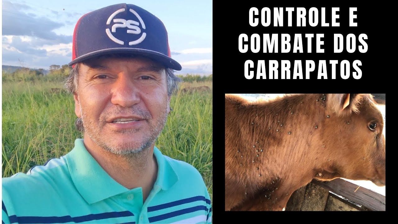 CONTROLE E COMBATE DOS CARRAPATOS