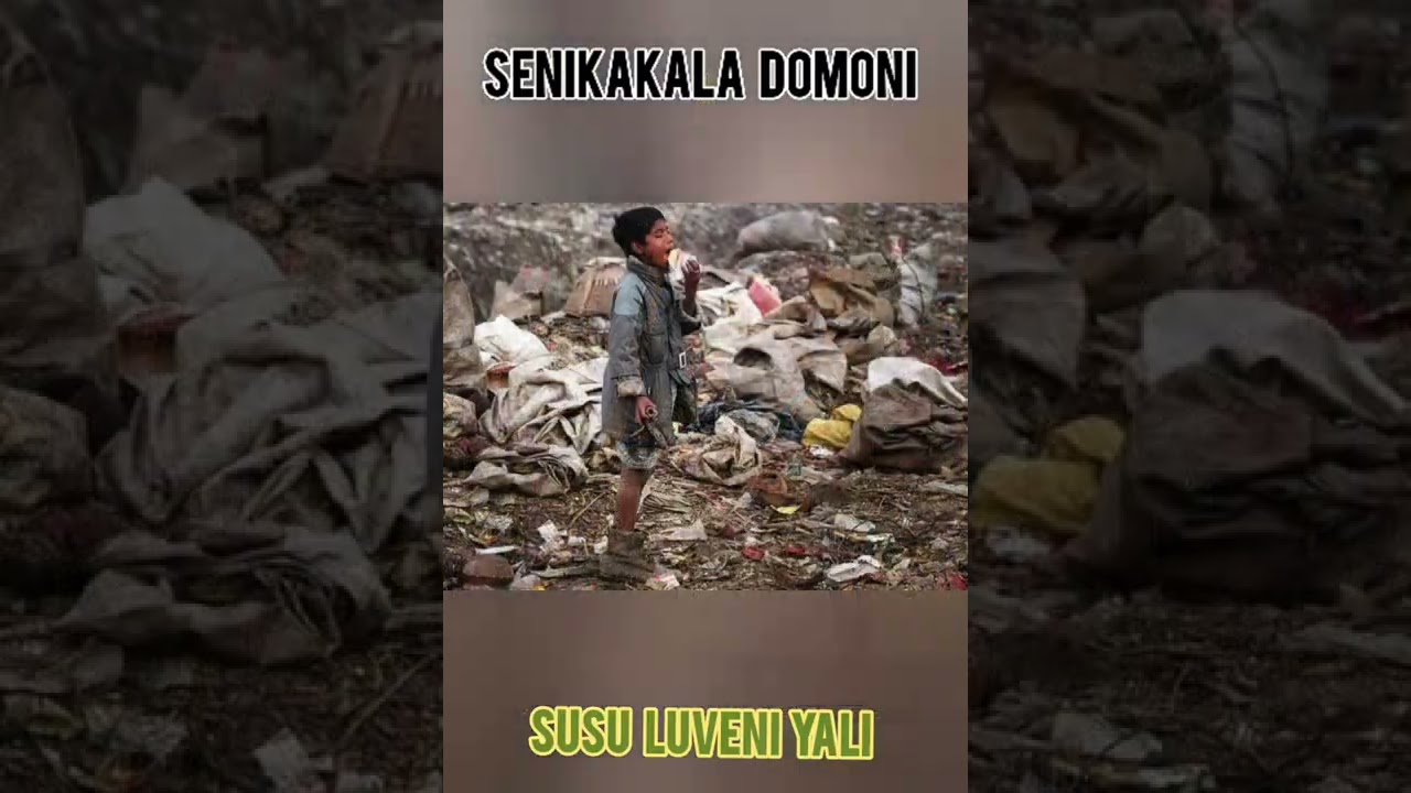 SENIKAKALA DOMONI - SUSU LUVENI YALI