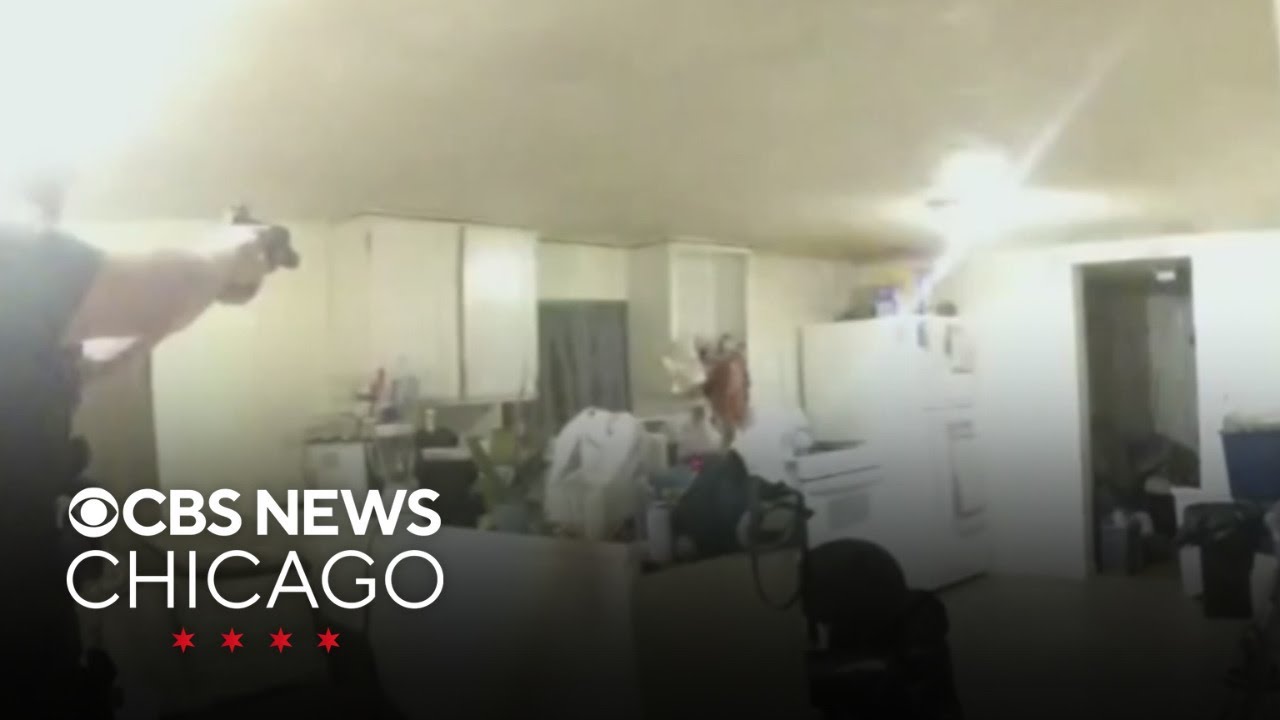 Shooting by Illinois police officer that killed woman did not need to happen, attorney says