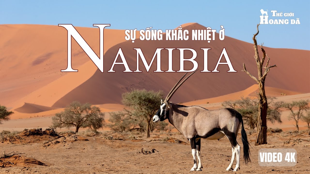 NAMIBIA HOANG D&Atilde; - Vương Quốc Của Gi&oacute;, C&aacute;t V&agrave; Những Kẻ Săn Mồi. #thegioidongvat