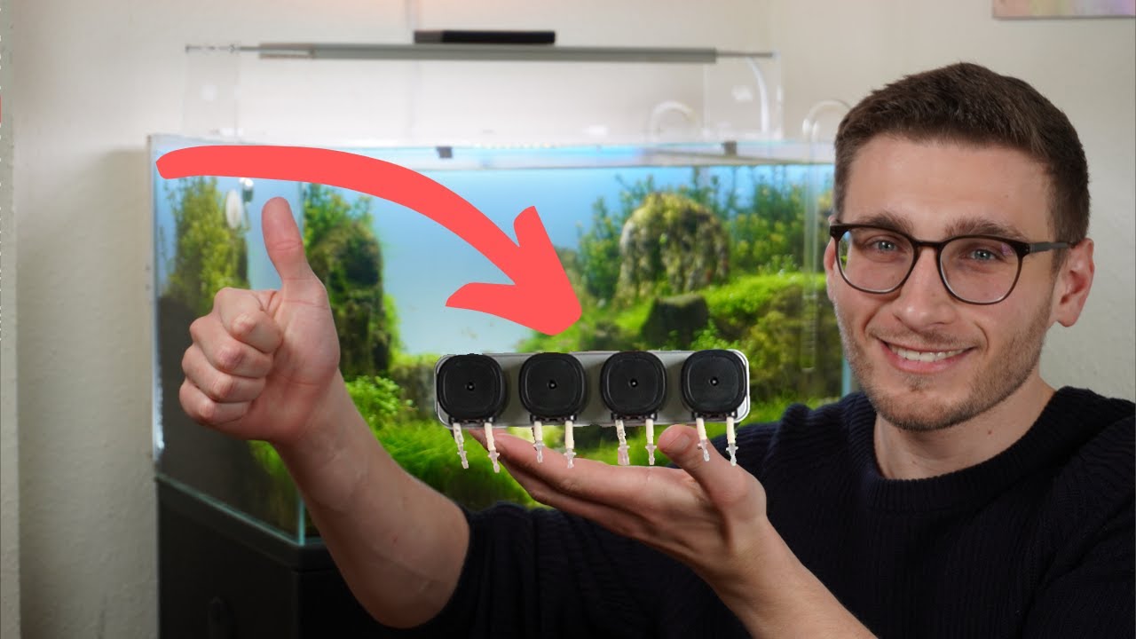 Düngung für Aquarien leicht gemacht: Chihiros Dosierpumpe im Test!