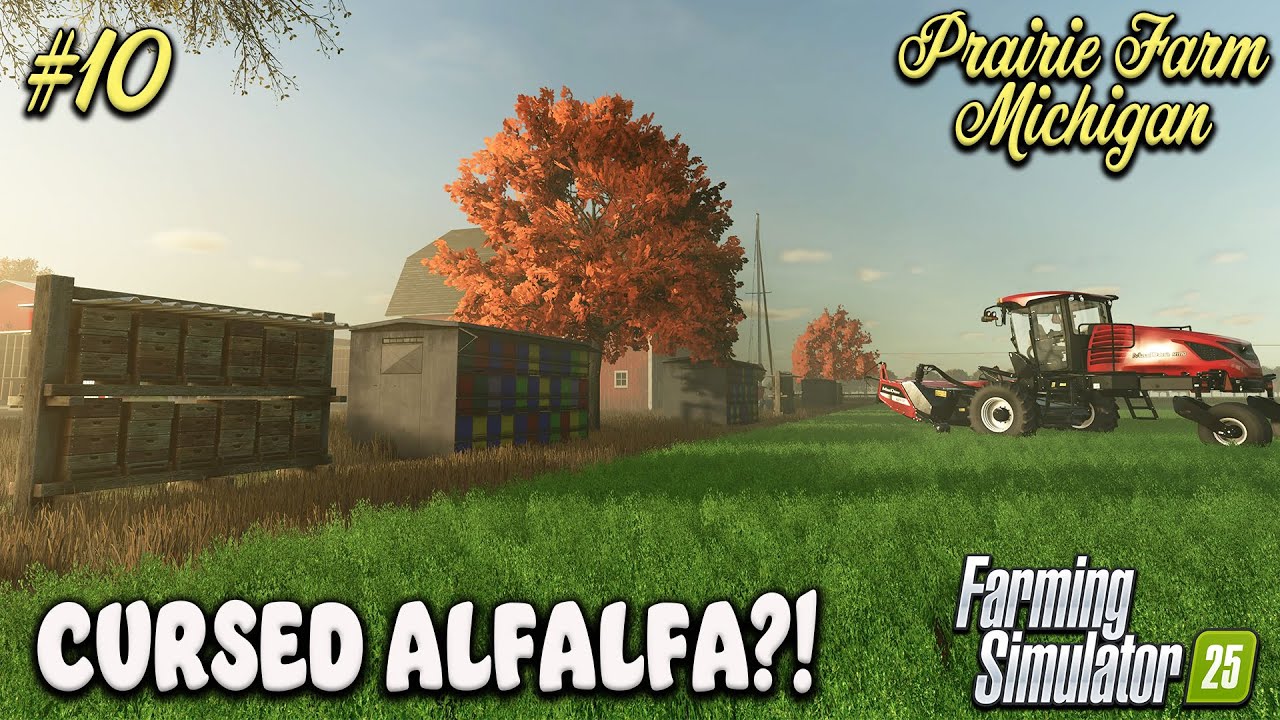 ALFALFA, BRAINY BEES & BALE NIGHTMARE! ON PRAIRIE FARM MICHIGAN #10 | Farming Simulator 25.