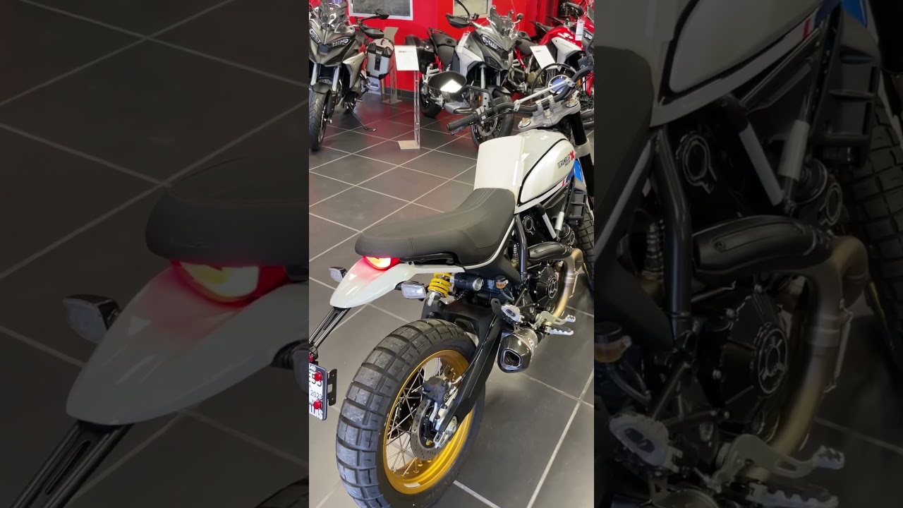 That sparkling blue livery ✨💙 🥰🤌 #ducatiscrambler #ducatiscramblerdesertsled #ducati #desertsled