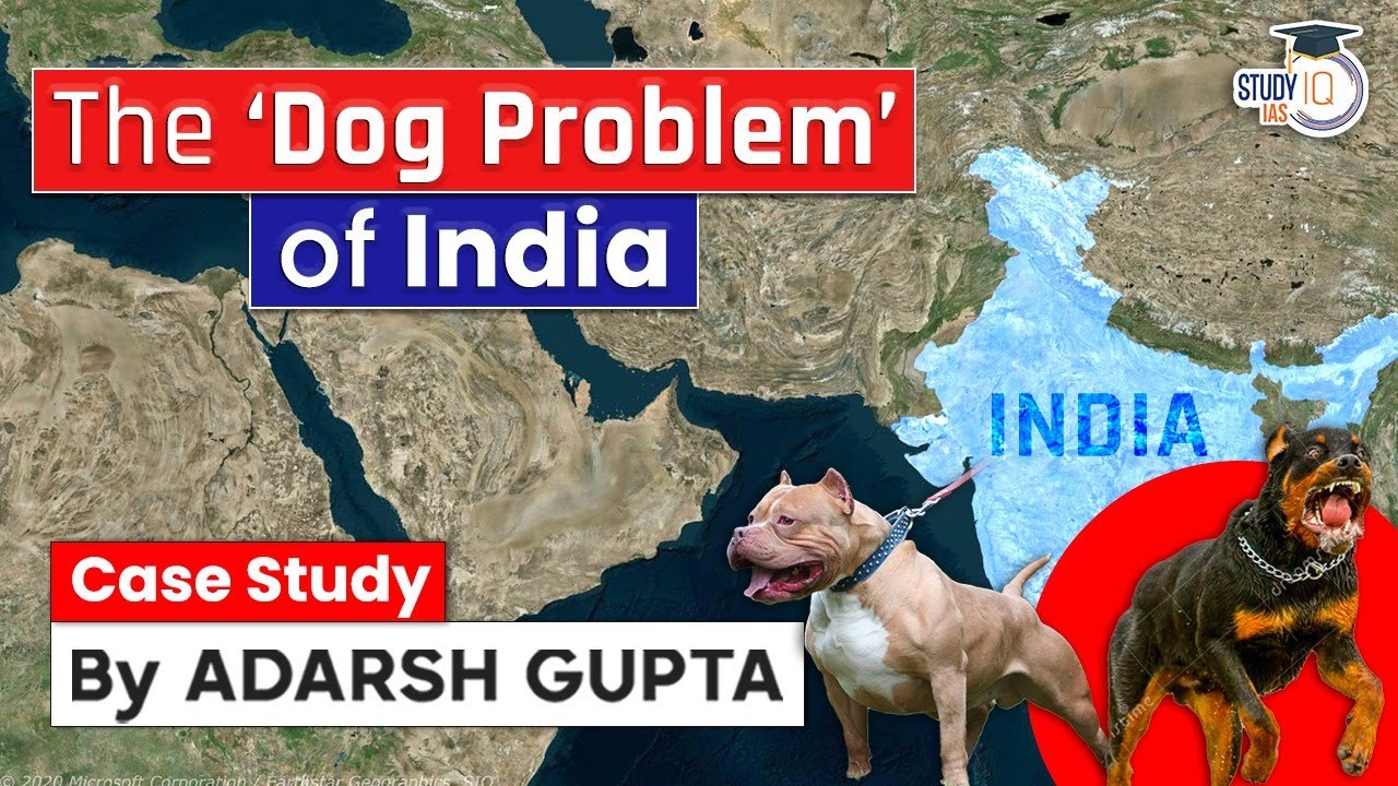 Why Dog Bites Cases are increasing in India? Breeding is Killing Dogs | UPSC Mains GS4