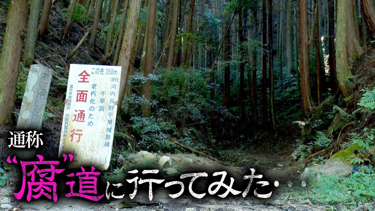 【大阪】荒れ果てた&ldquo;現役の府道&rdquo;