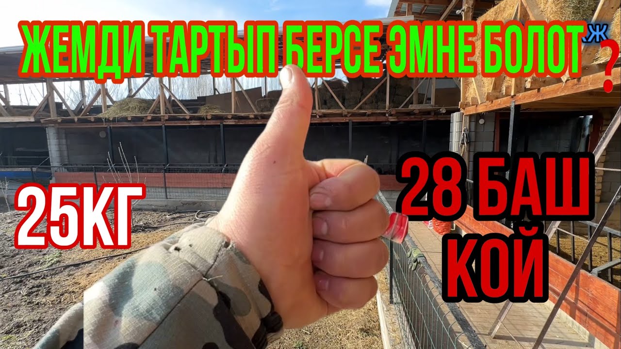 Бул видео Пайда Келтирет буйруса👍👍👍
