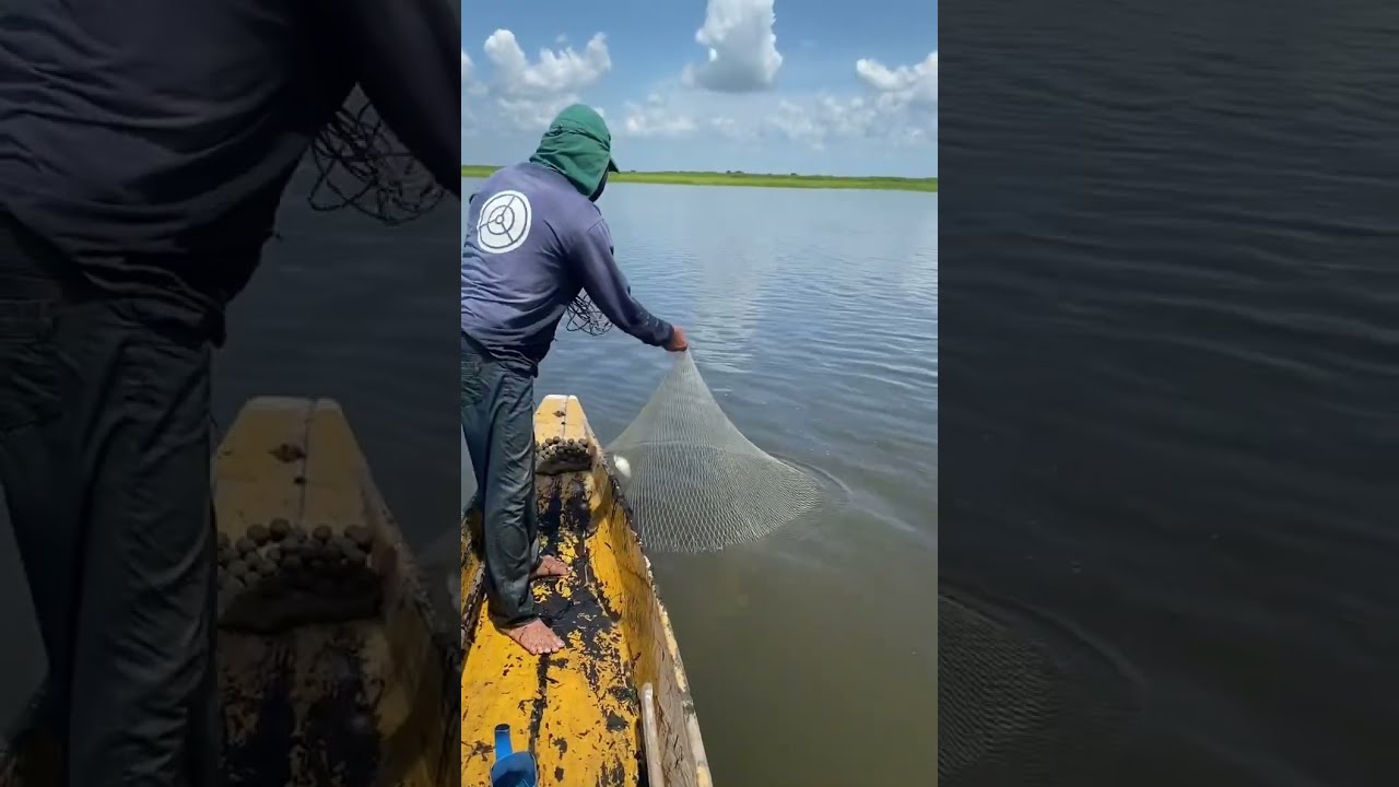 Pesca con atarraya por el río magdalena 