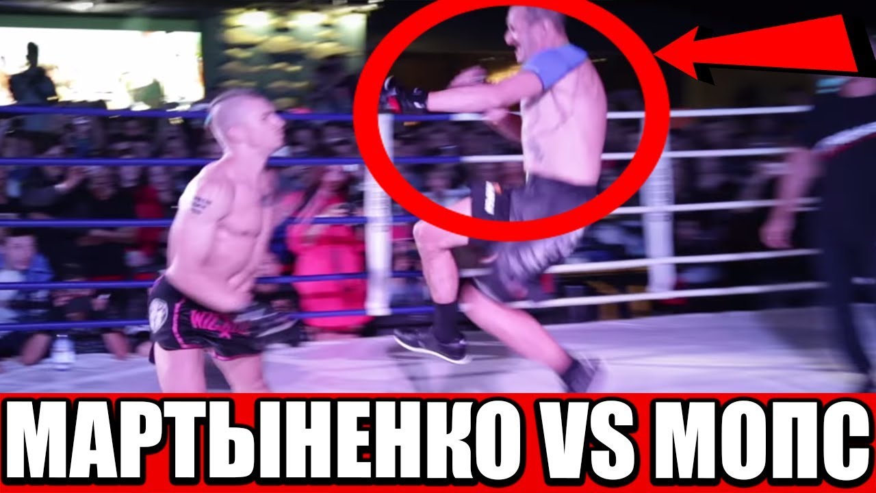 БОЙ МОПС - МАРТЫНЕНКО 2.  РЕВАНШ. МОПСУ СЛОМАЛИ РУКУ | РЕАКЦИЯ