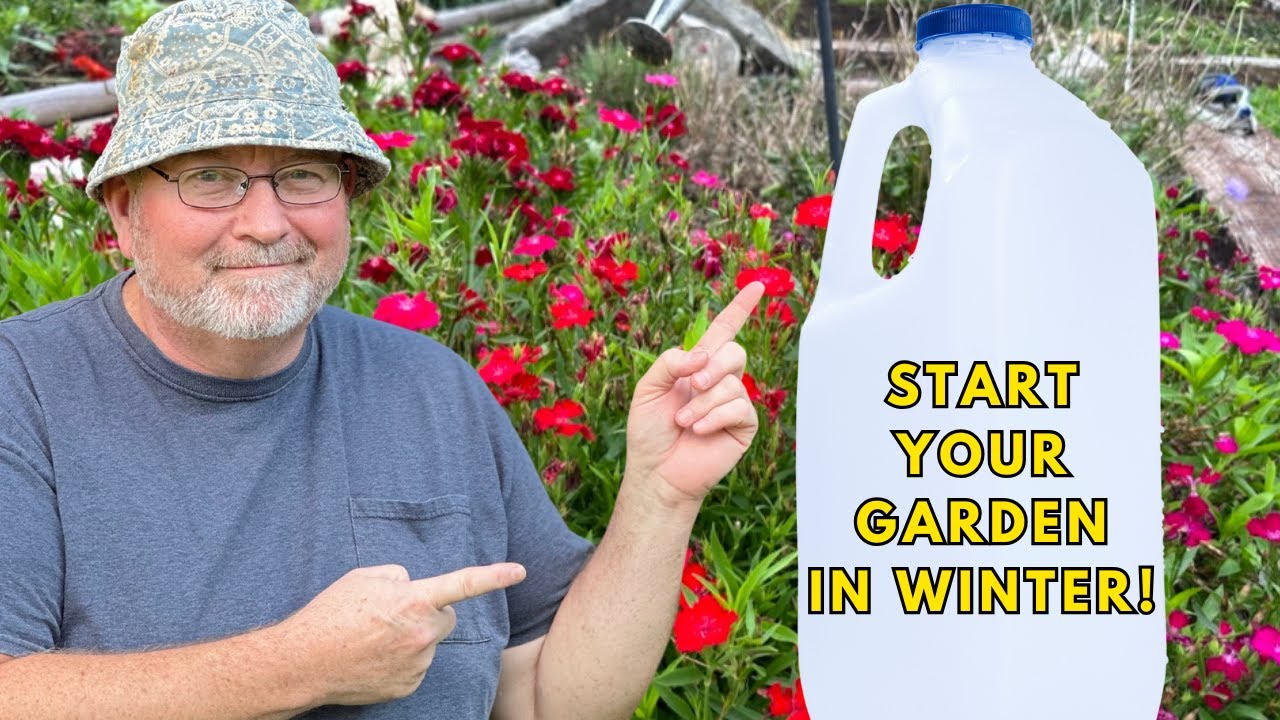 Winter Sowing on a Budget, Grow Your Garden for Pennies
