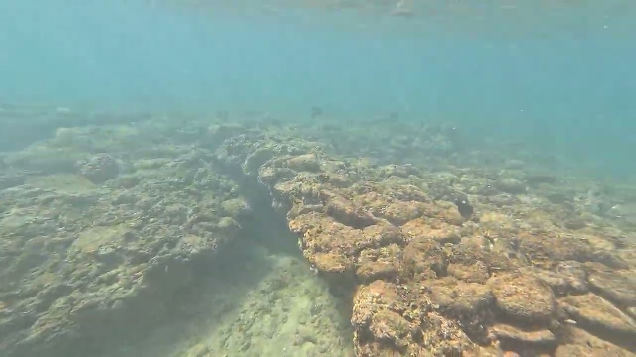 Vacation time! Dec 2025 snorkeling in Maui