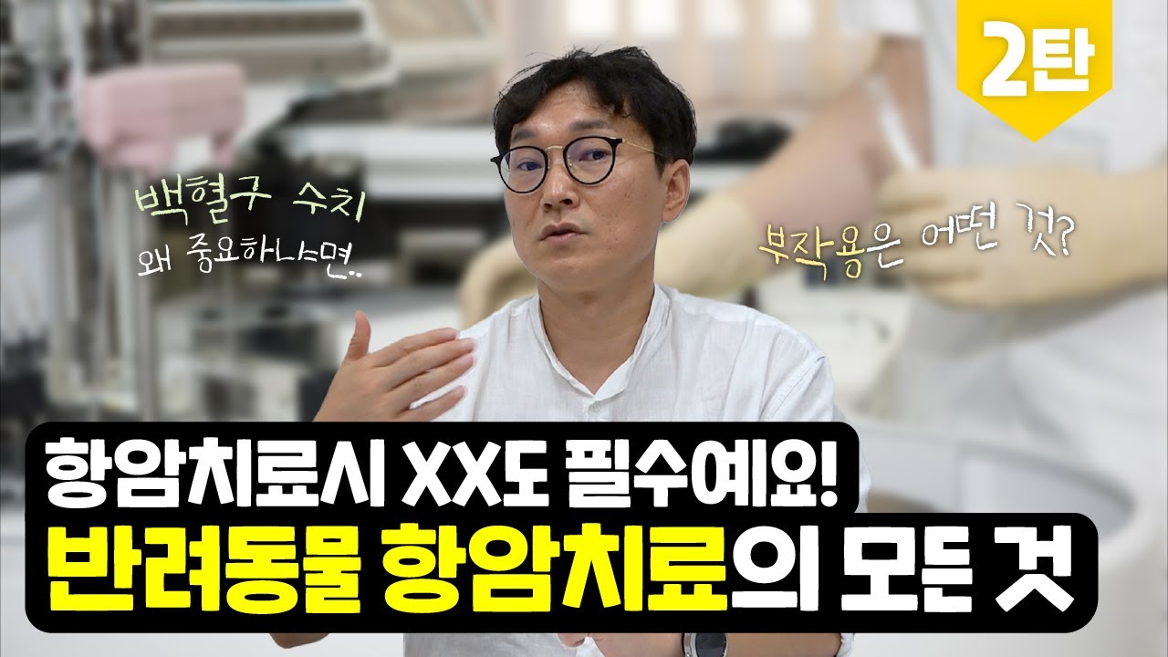 항암치료, 꼭 해야 하나요? 😿ㅣ반려동물 항암치료의 부작용ㅣ항암치료시 XX 는 필수예요!👨🏻‍⚕💦