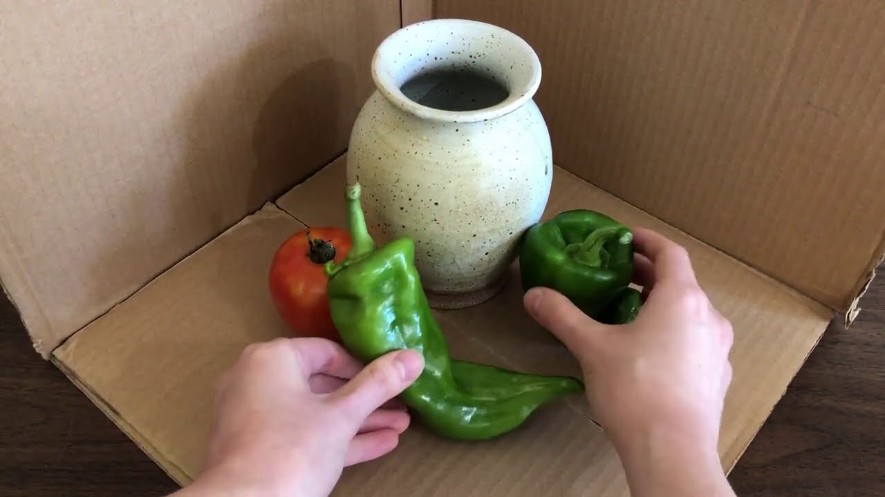 How to Set Up a Still Life