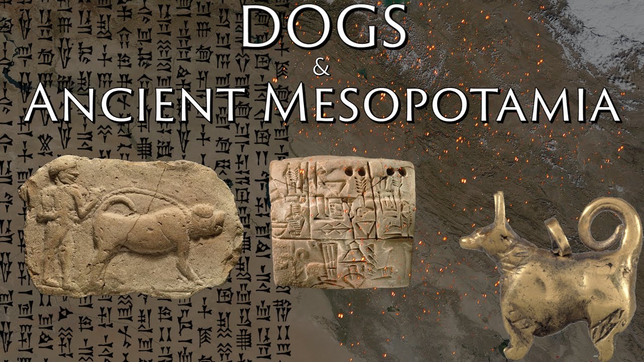 Dogs in Ancient Mesopotamia