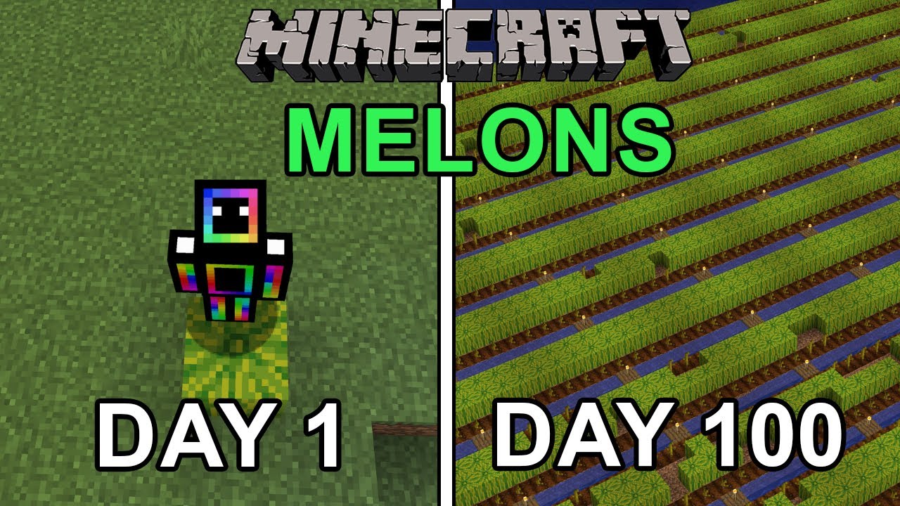 I Farmed Melons for 100 Days in Minecraft