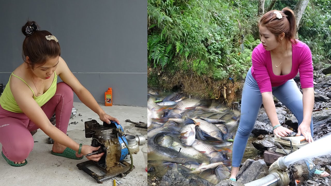 The Girl Repaired Broken Water Pump, Uses Pumping To Suck Water In The Wild Lake, Catching Many Fish