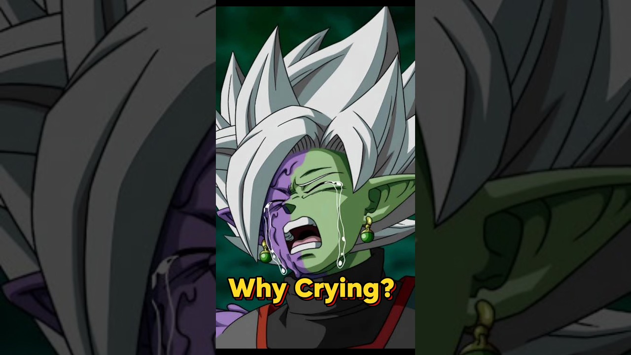 Why Did Fused Zamasu Cry Explain | Infinity Fusion Warriors #gokuallforms #anime