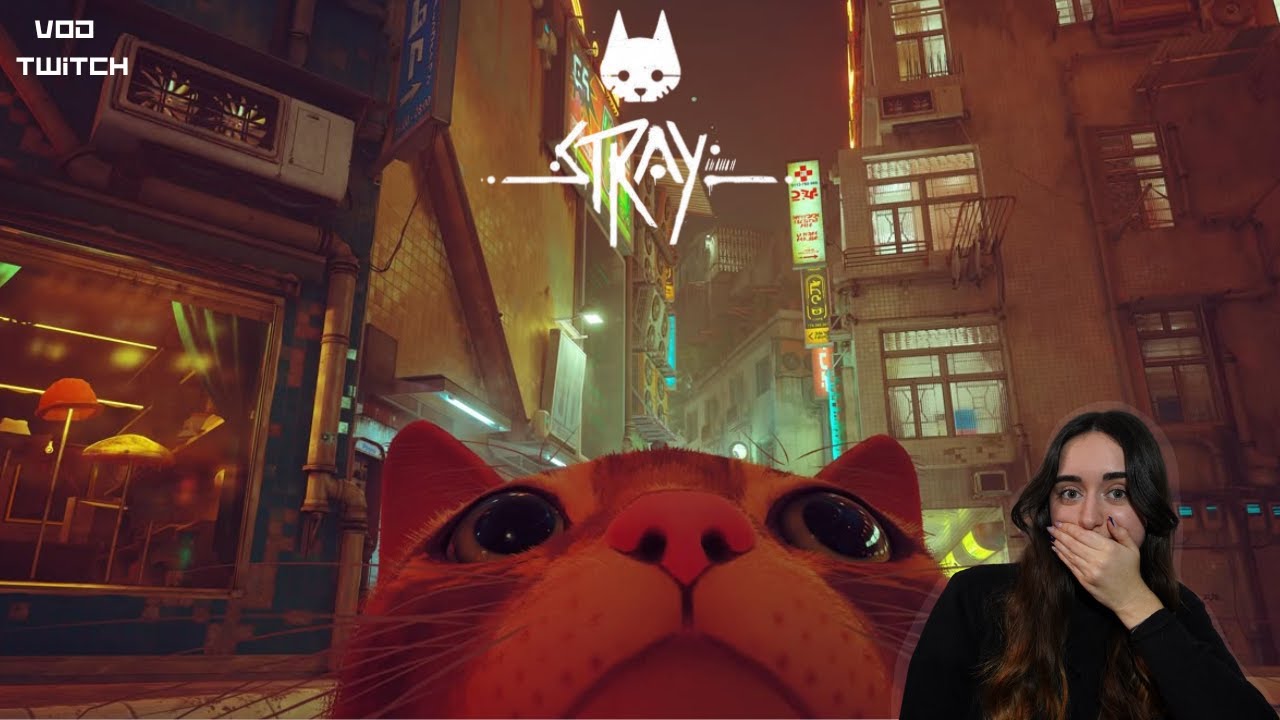 Découverte de Stray ! Let's play #1