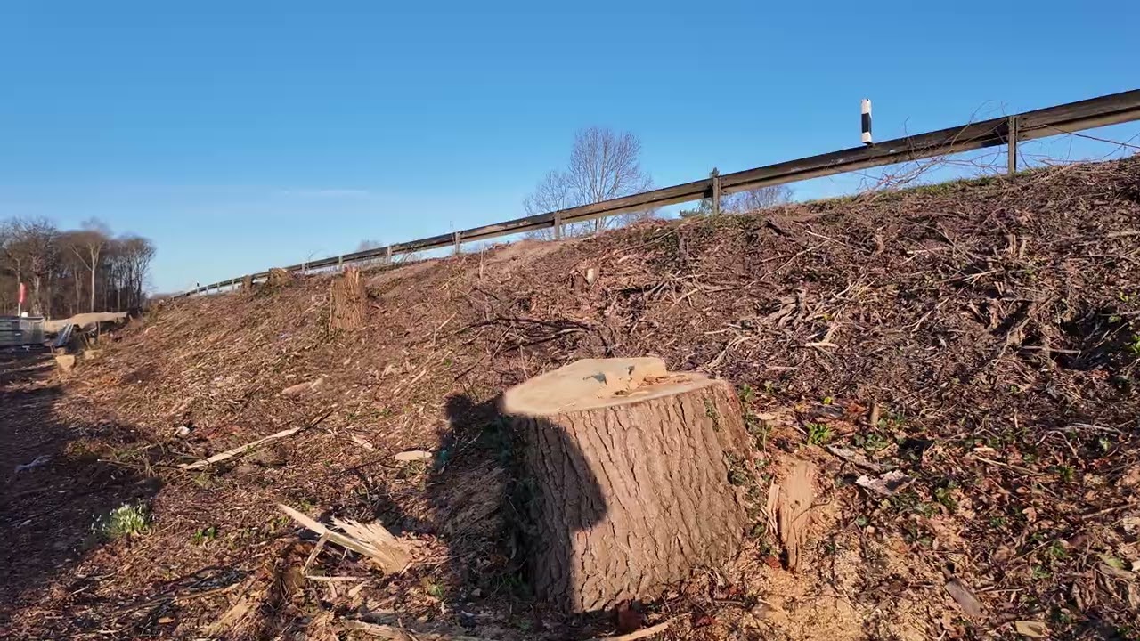 1.3.26 zerstörte Kleingärten in der Leinemasch in Hannover