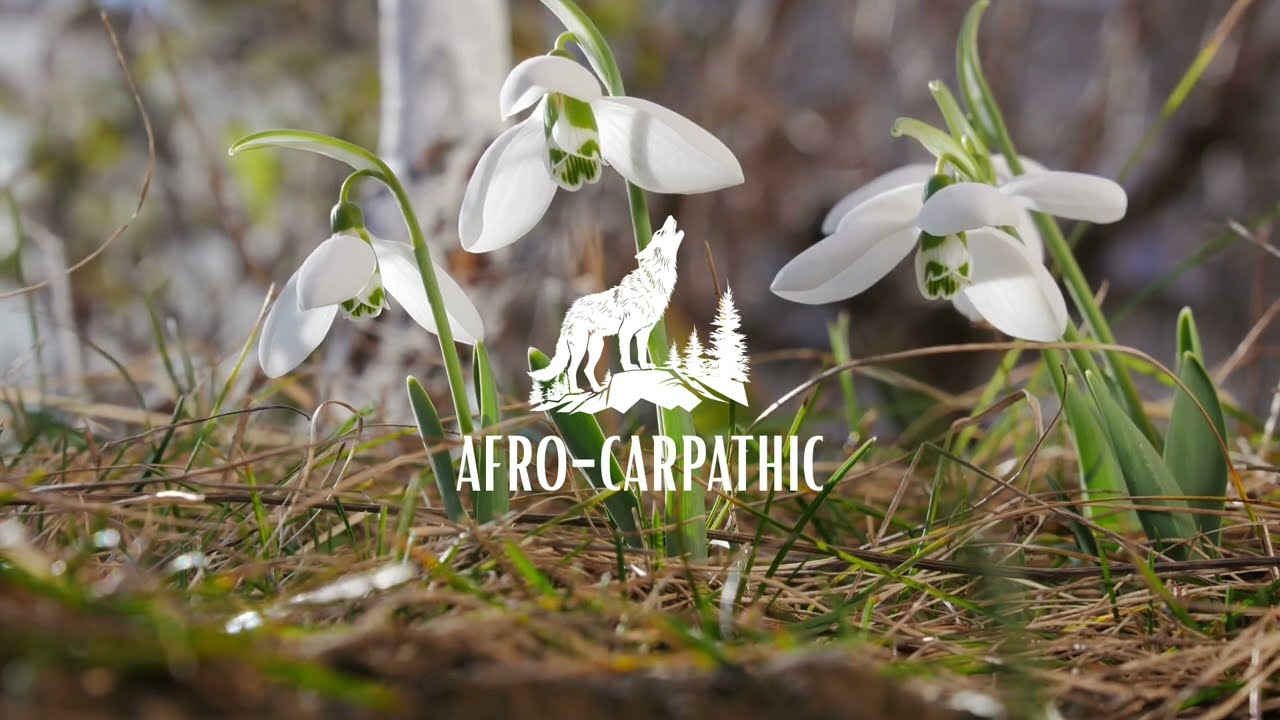 Afro-Carpathic | Ghiocel de Martie (Official Music Video)