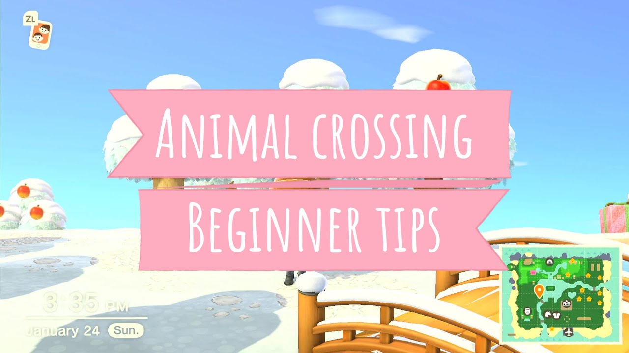 Animal crossing: beginner tips