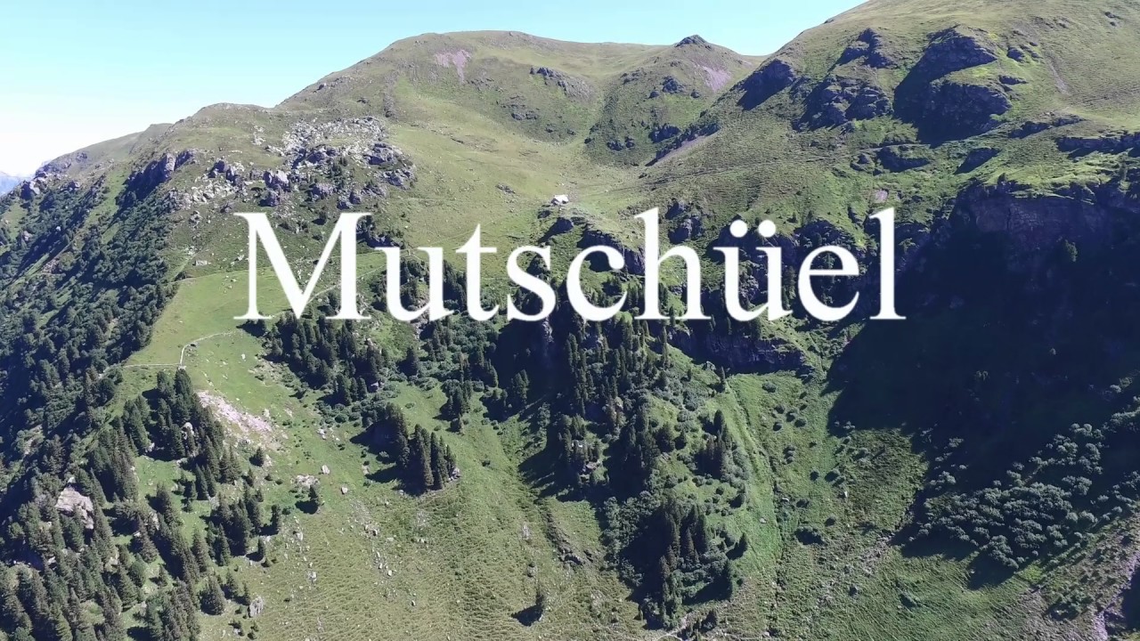 Ortsgemeinde Quarten Alpen