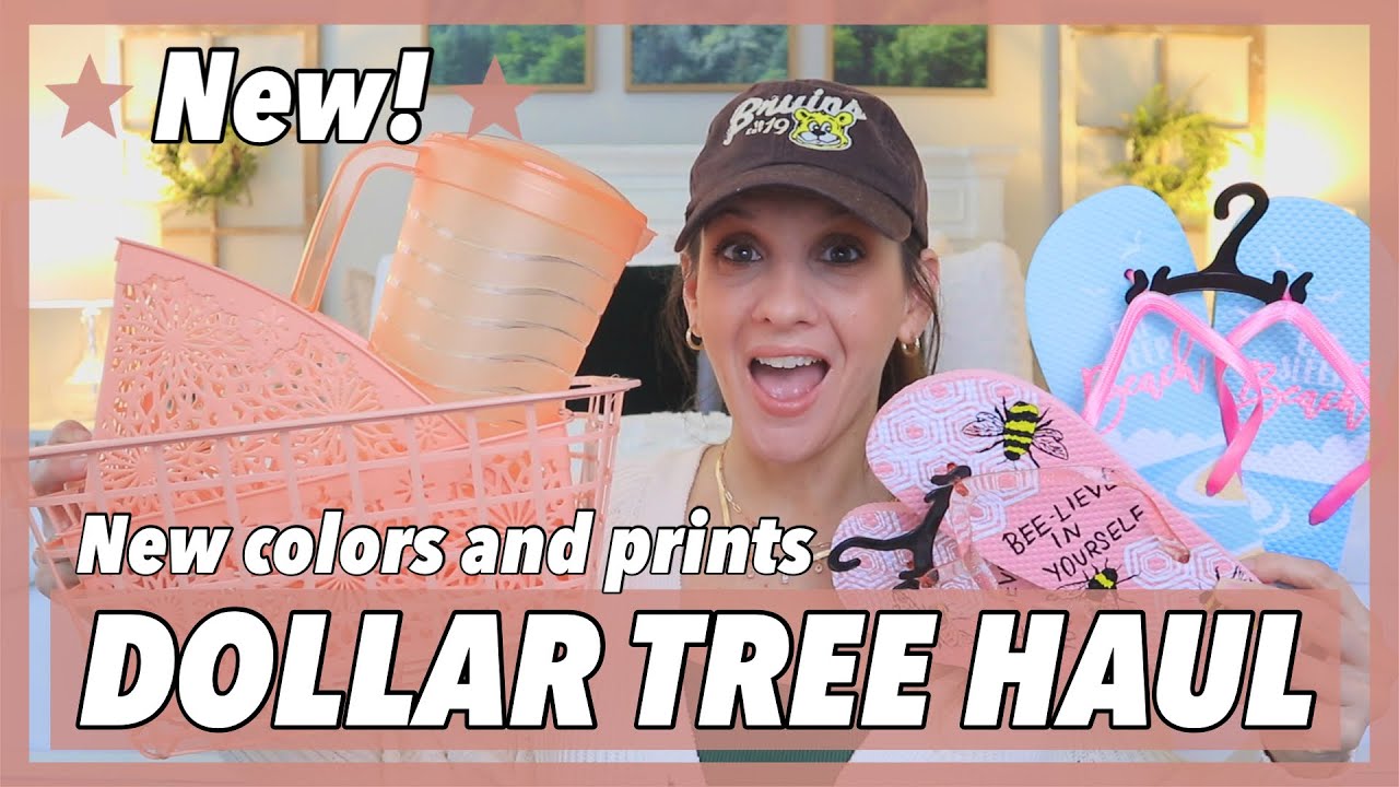 DOLLAR TREE HAUL *BRAND NEW SPRING ORGANIZATION COLLECTION* 2021