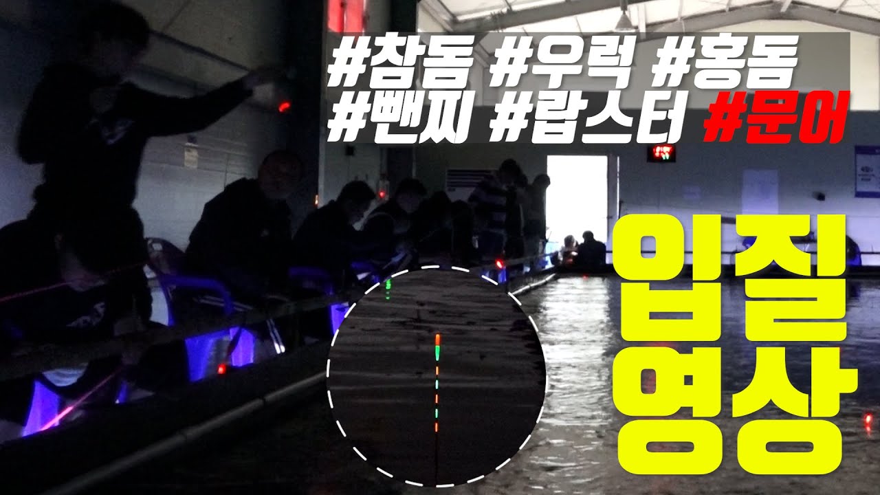 한번 보면 빠져드는 강렬한 입질