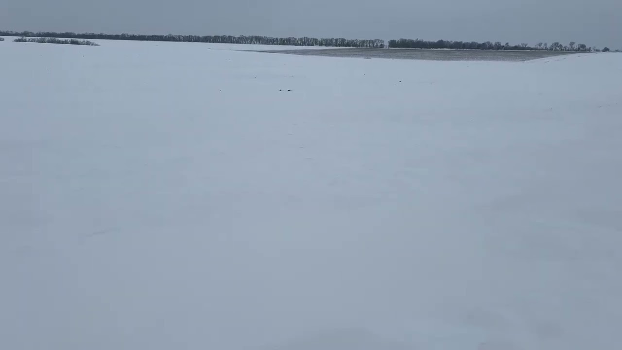 Ціна на добрива селітру, карбамід,НПК ,Амофос