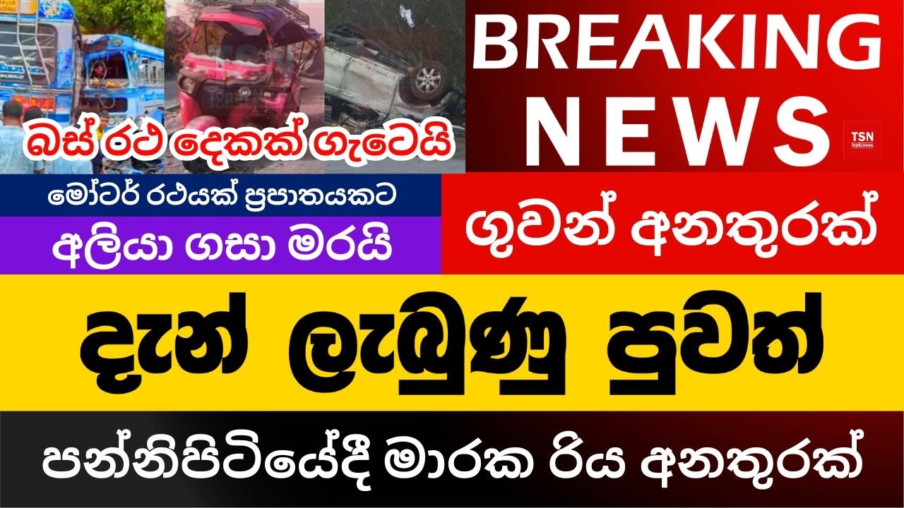 දැන් ලැබුණු පුවත් | පන්නිපිටියේදී මාරක අනතුරක් | බස් රථ දෙකක් ගැටෙයි | BREAKING NEWS | Sinhala News