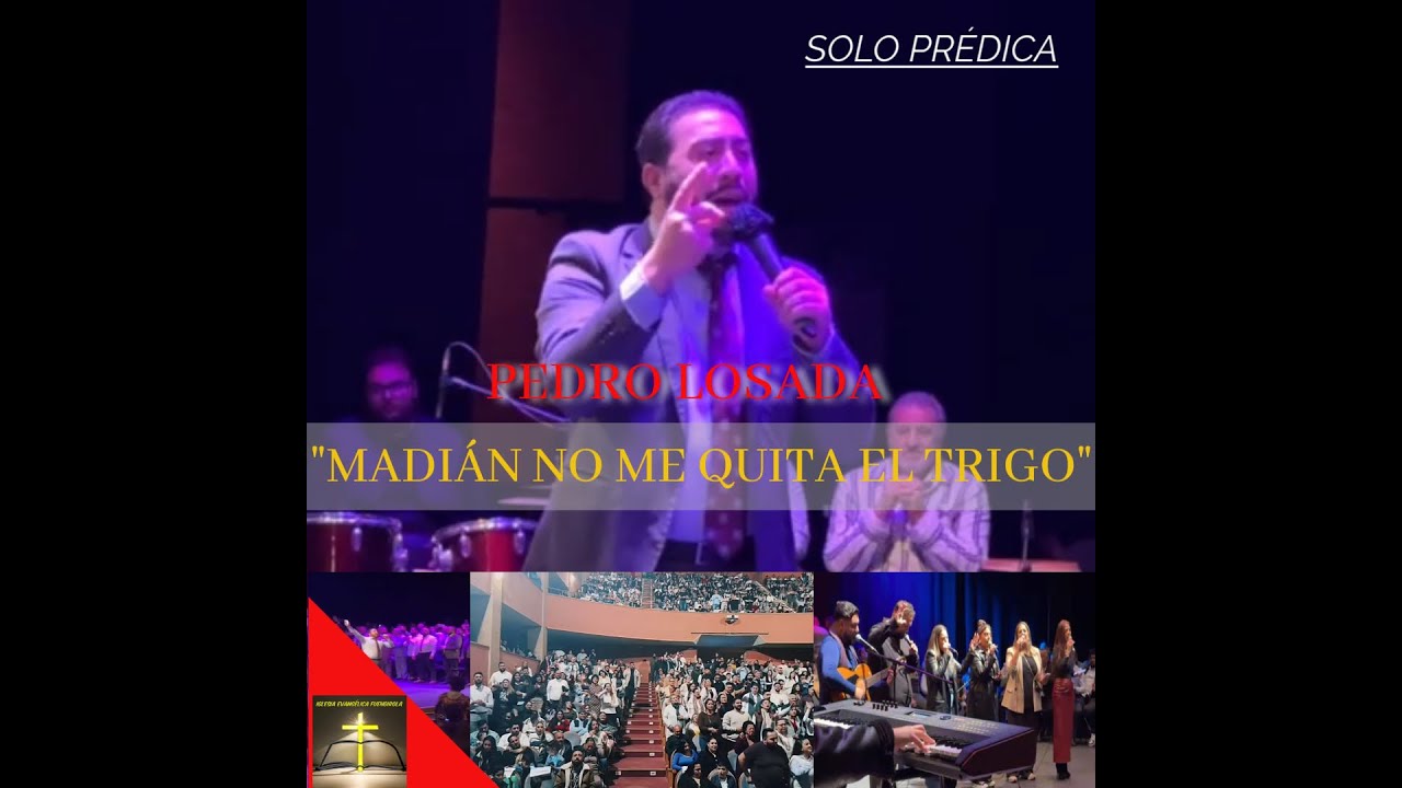 PEDRO LOSADA / TITULO: