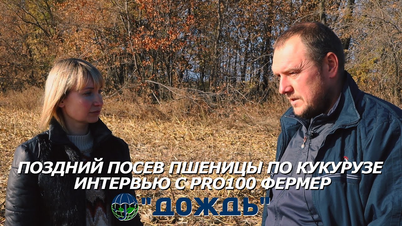 ДОЖДЬ в гостях у Pro100fermer. Посев озимых с удобрением jiva.