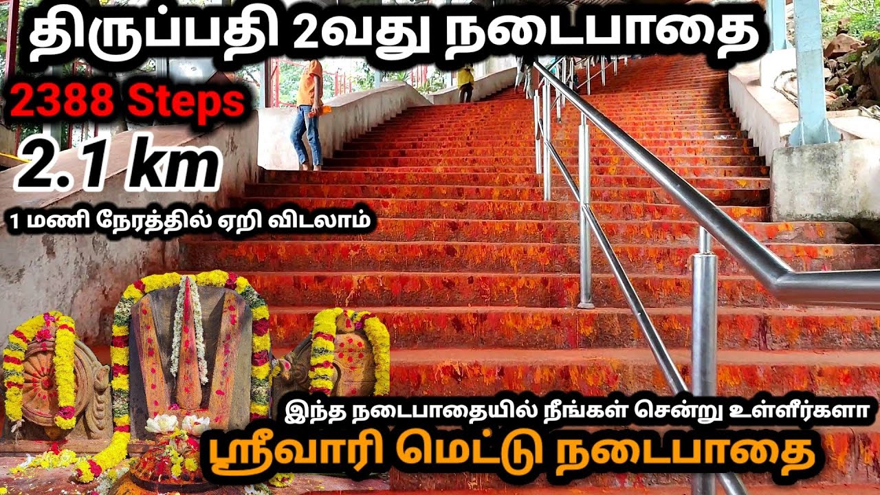 திருப்பதி ஸ்ரீவாரி மெட்டு நடைபாதை | Tirupati Srivari Mettu Footpath | tirupati footpath | tamil 2022