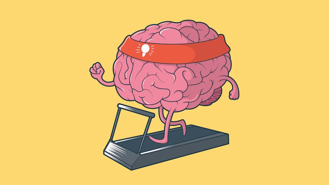 Psychologique - Introduction au développement psychologique