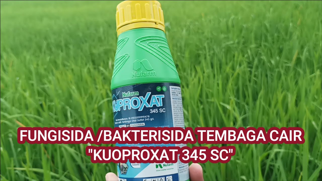 FUNGISIDA/BAKTERISIDA TEMBAGA CAIR KUOPROXAT 345 SC