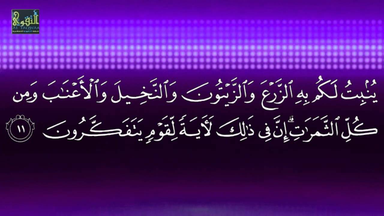 Suratu Naxl [1 - 14] Sh Xasan Ibraahim Ciise Xafidahullah