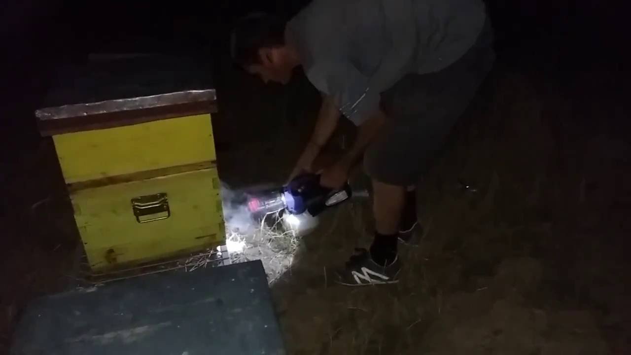 Efectuarea tratamentului cu varachet 2016