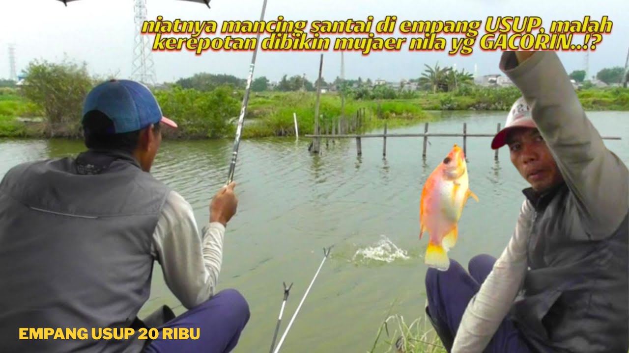 MANCING MUJAER NILA DI EMPANG USUP SPOT GACOR TIKET 20K  28.11.25