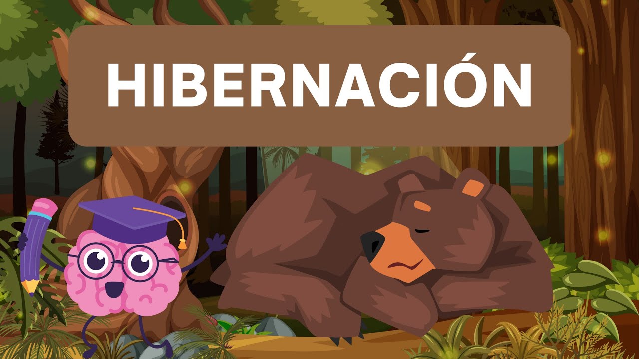 Hibernación de animales para niños “ Aprende todo sobre la hibernación“