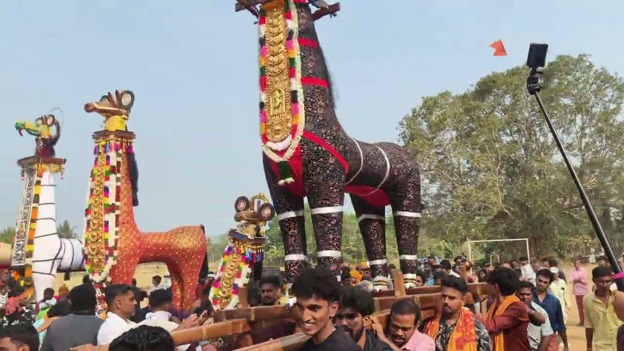 കുതിര പുറത്ത് കയറുന്ന ഇളയത് : മച്ചാട് മാമാങ്കം 2026