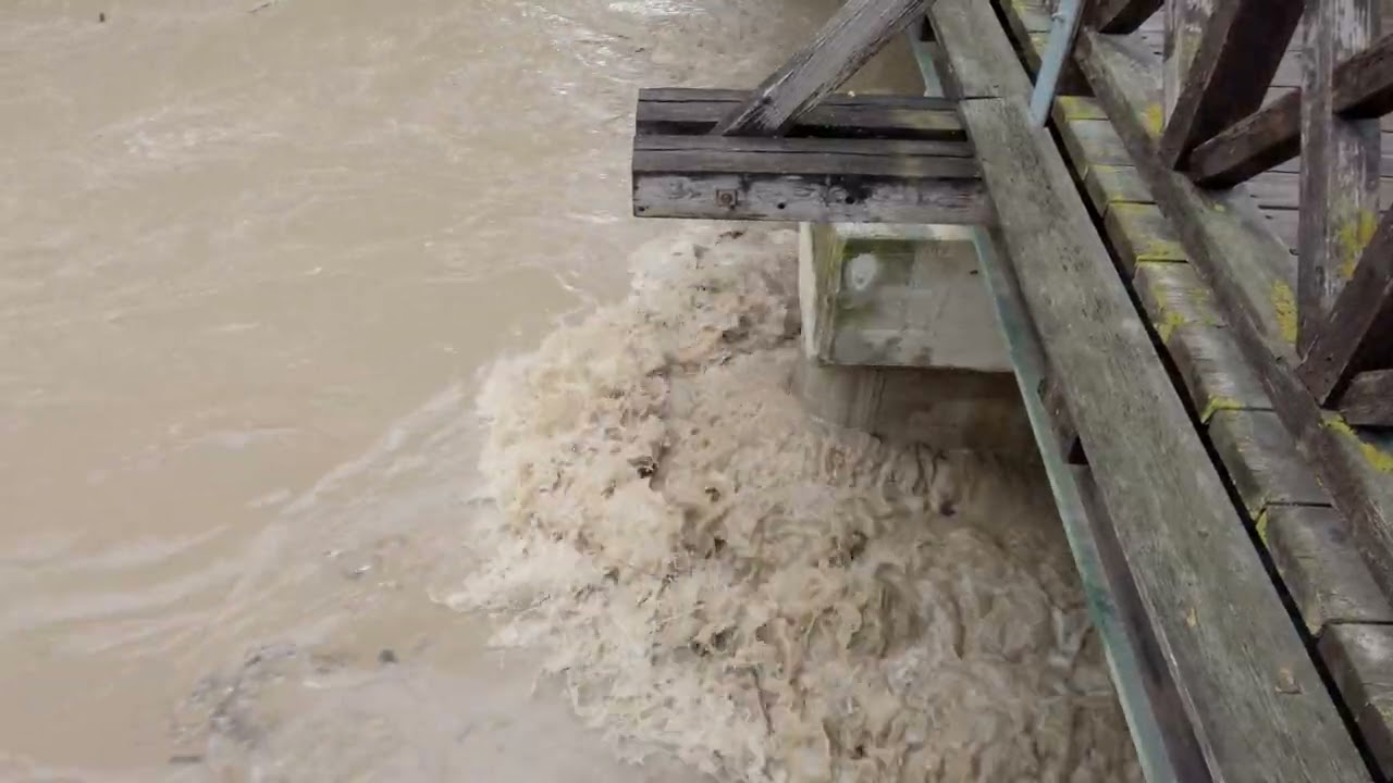 Leitha Hochwasser 2024