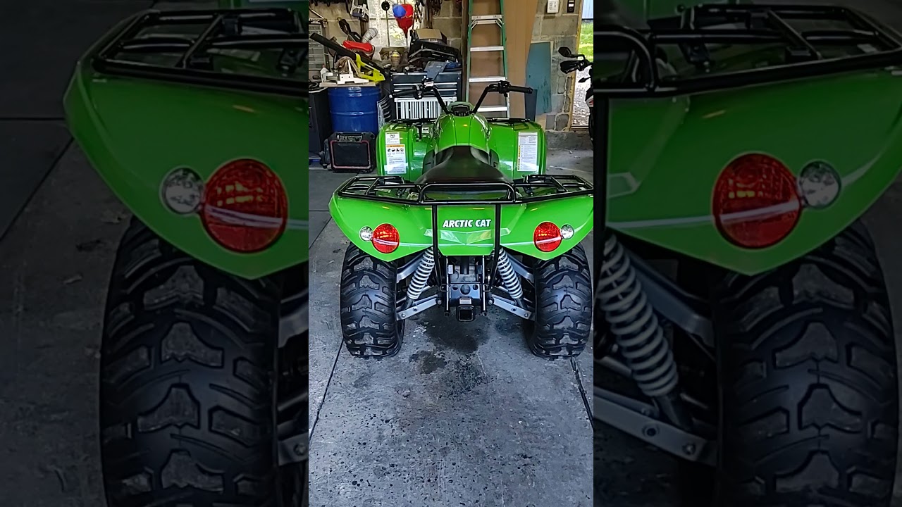 2008 Arctic Cat 366