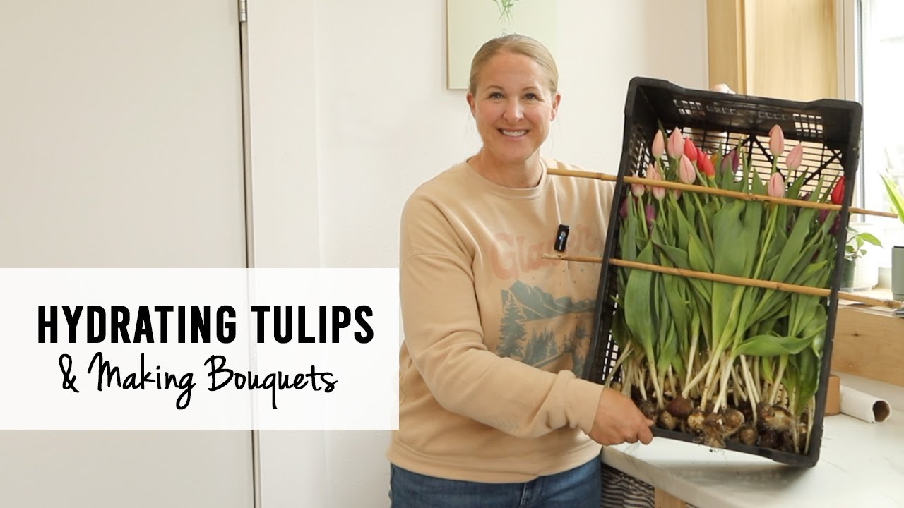 Hydrating Tulips & Making Spring Bouquets for my Flower Subscription - Sunshine and Flora