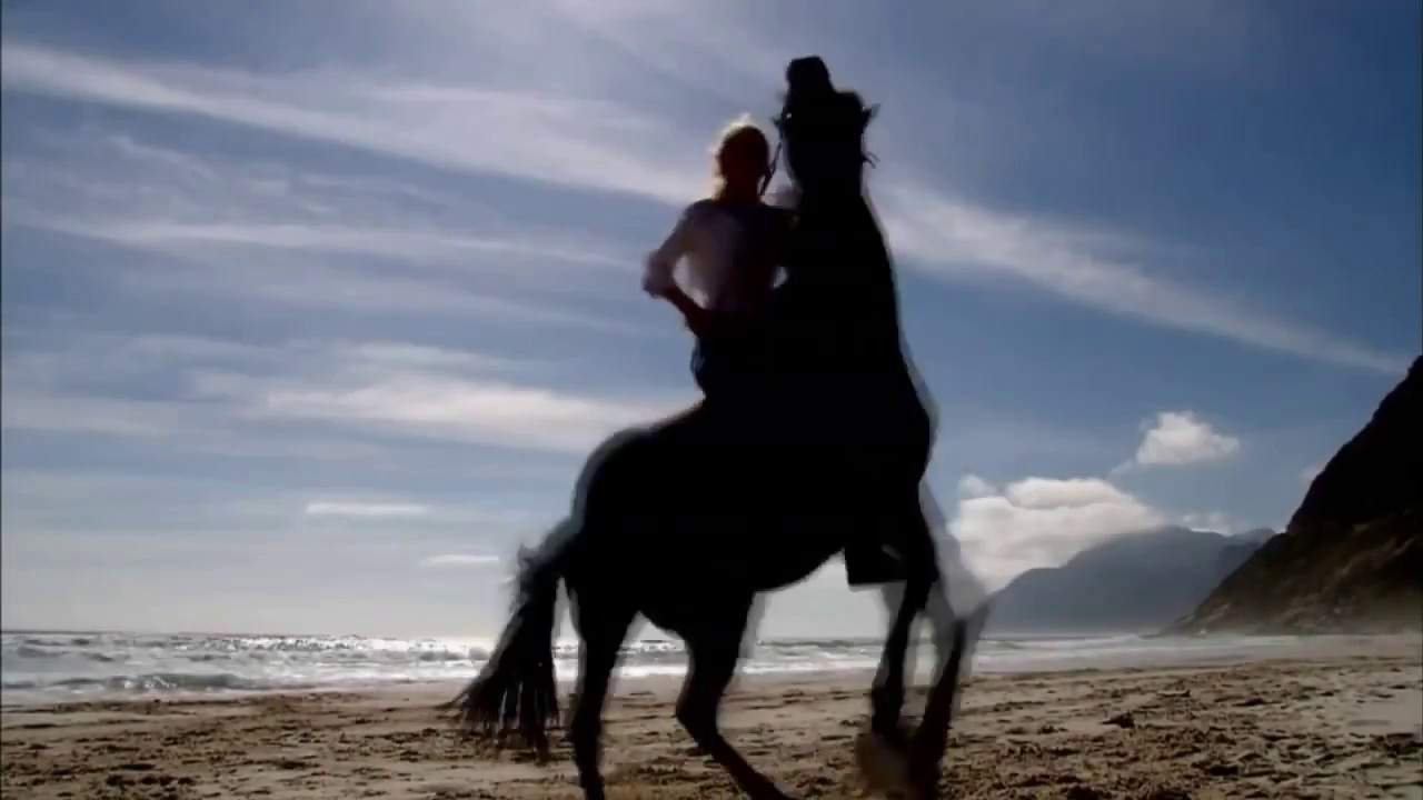 Amazing galloping horses